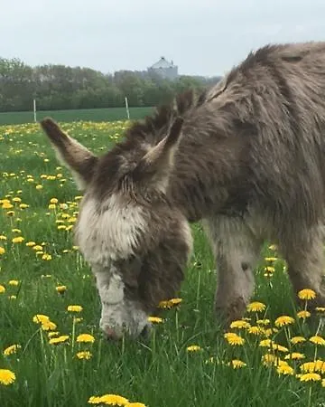 Ferienhaus Morso Friluftscenter Erslev