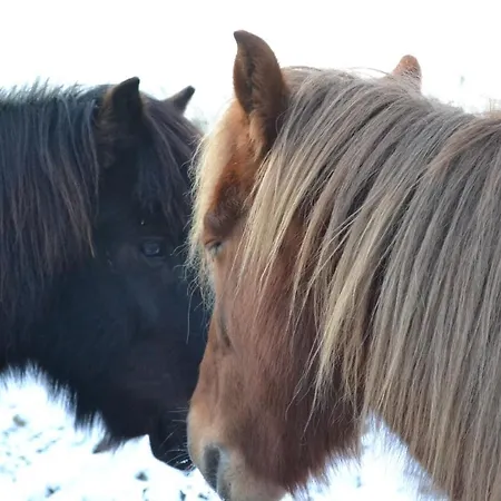 Ferienhaus Morso Friluftscenter *