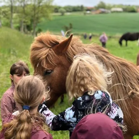 Morso Friluftscenter Ferienhaus Erslev